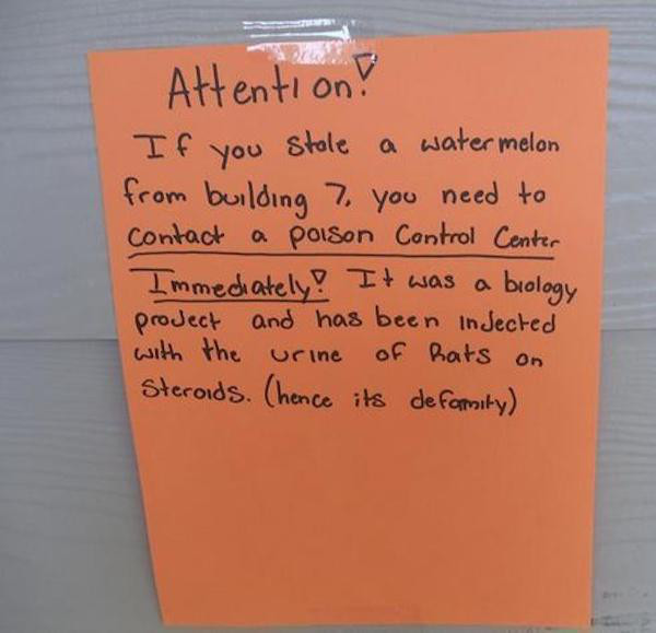 people who had the worst day - Attention! If you stole a watermelon from building 7. you need to Contact a poison Control Center Immediately! It was a biology project and has been in Jected with the urine of hats on Steroids. Chence its deformity