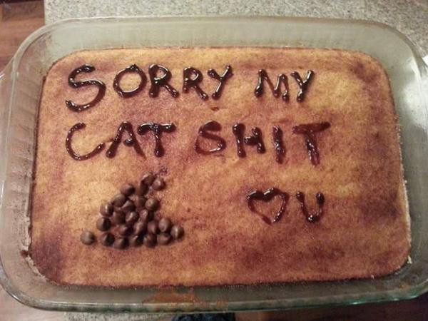 baking - Sorry My Cat Sat