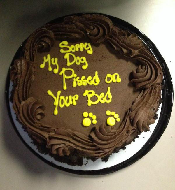 chocolate cake - Sorry My Dog Pissed on Your Bed