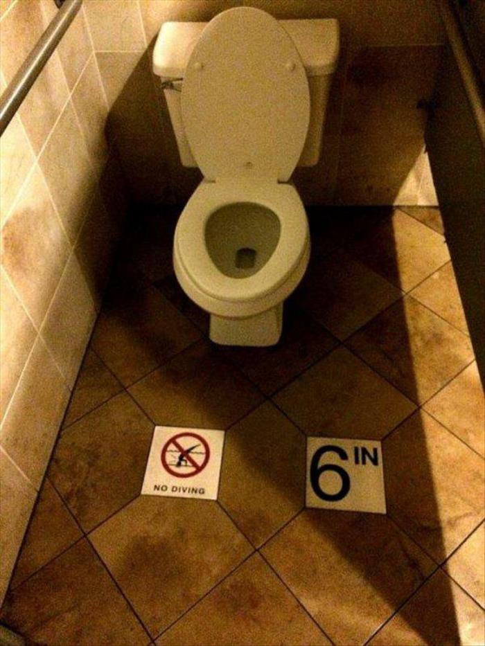 don t pee on the floor meme - No Diving