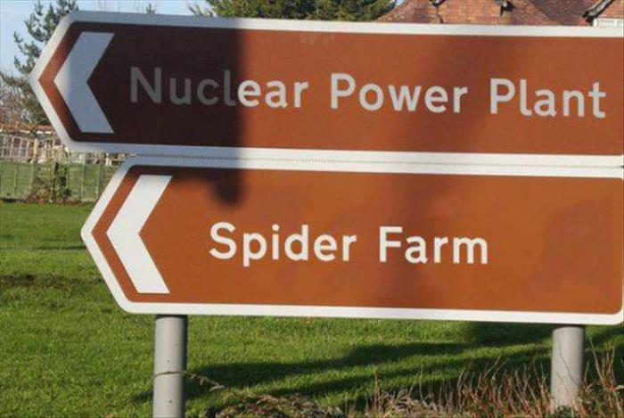 could possibly go wrong - Nuclear Power Plant Spider Farm