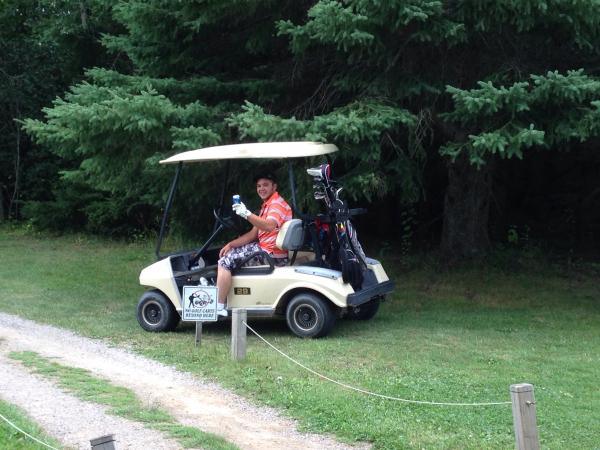 rebel golf cart