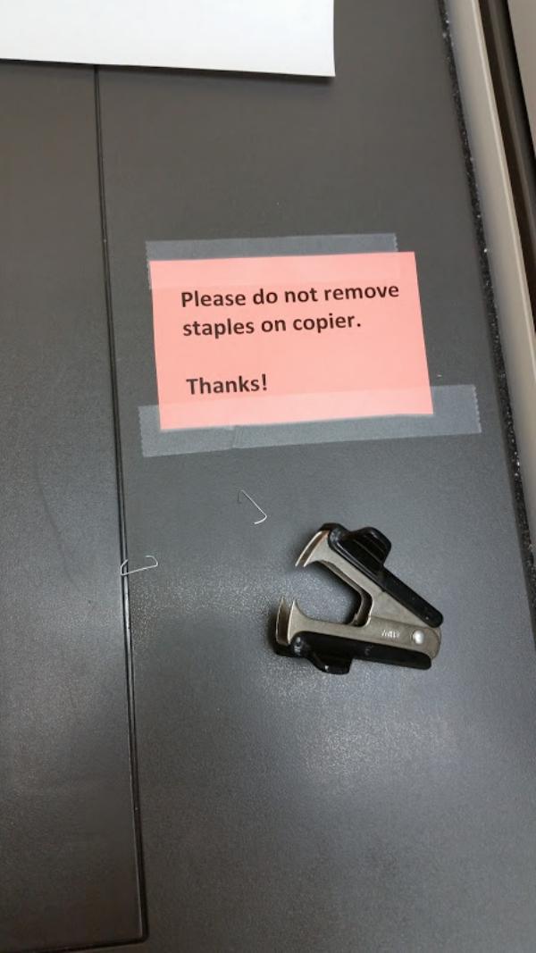 rebel angle - Please do not remove staples on copier. Thanks!