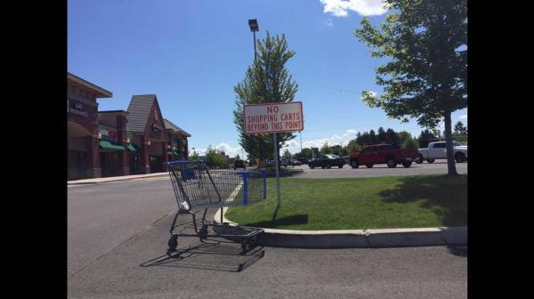 rebel sky - No Shopping Carts Beyond This Point