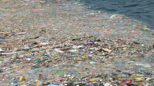 The Great Pacific Garbage Patch: Fancy a visit to the Great Pacific Garbage Patch? Well you can’t because it’s not technically a place. Although it’s twice the size of Texas, this huge mass of garbage comprising of mostly plastic and chemical sludge is brought together by ocean currents and no government has come up with a plan to battle this enormous bio-hazard.