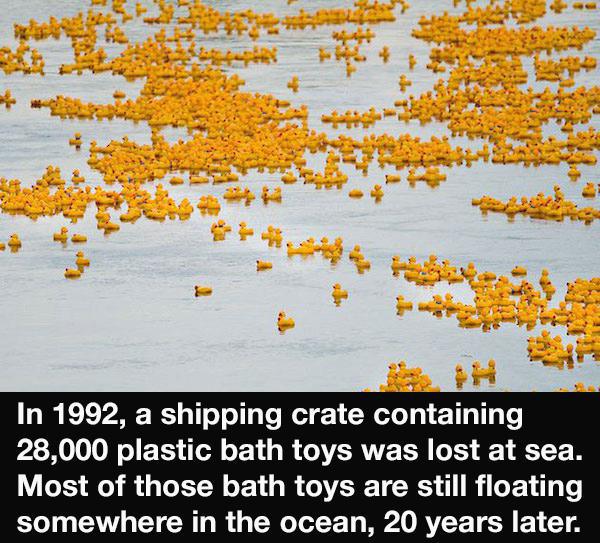 22 Strange Facts That Require Serious Explanations