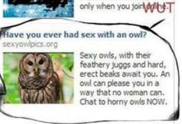 20 Totally Baffling Online Ads That Will Shatter Your Perception on Reality