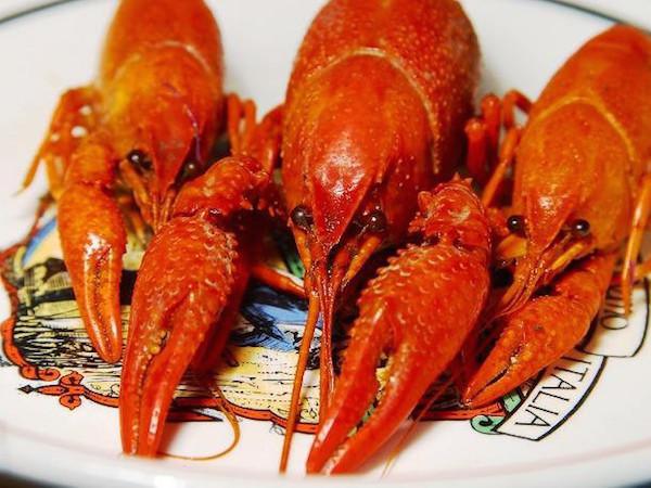 Held in Atlantic City, New Jersey the holder of the world record for this feat is Chris Hendrix who ate 331 pieces of these crustaceans in 12 minutes.