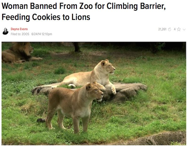 darwin award lion memes - Woman Banned From Zoo for Climbing Barrier, Feeding Cookies to Lions 21,261 474 Dayna Evans Filed to 2005 62414 pm