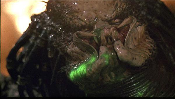 The Predator’s glowing green blood was actually made from glow sticks. The filmmakers originally used an orange substance for the creature’s blood, figuring they would spiff it up with special effects in post production. But the orange goop looked so bad on camera, they decided they had to make a change. They wound up using the luminescent liquid from the inside of glow sticks, which they bought over the counter.