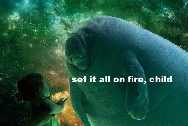 set it all on fire child manatee - set it all on fire, child