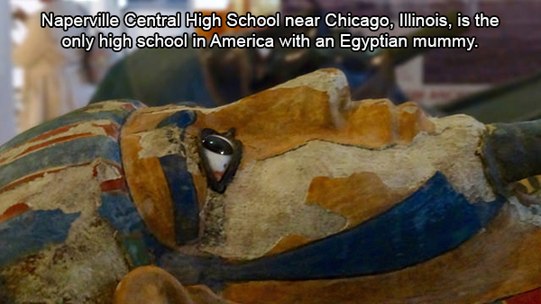 Naperville Central High School near Chicago, Illinois, is the only high school in America with an Egyptian mummy.
