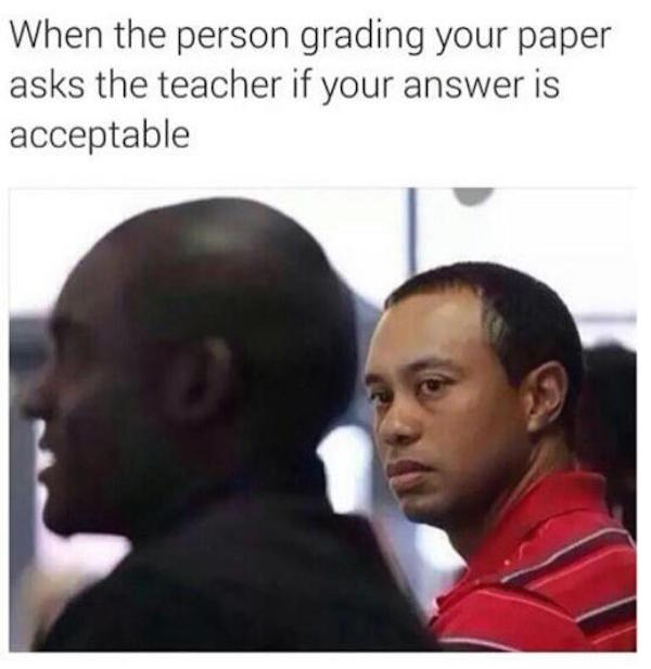 inappropriate memes - When the person grading your paper asks the teacher if your answer is acceptable