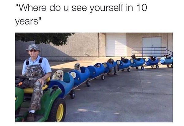 dog train - "Where do u see yourself in 10 years"