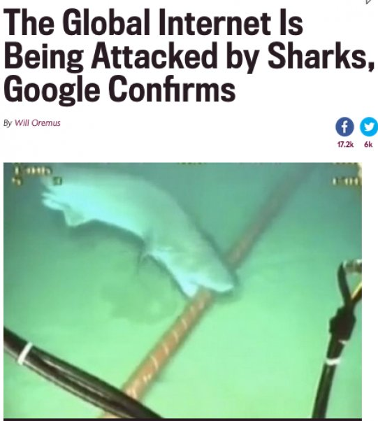Headline - The Global Internet Is Being Attacked by Sharks, Google Confirms By Will Oremus 6k