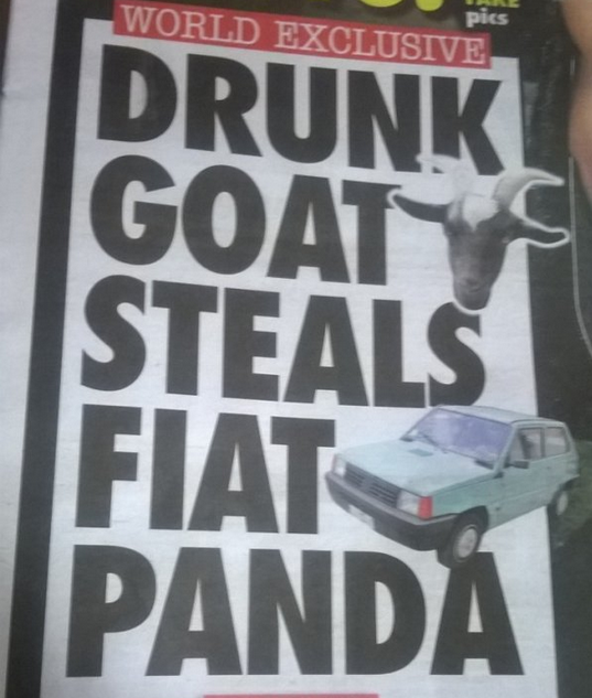 funny headlines 2017 - World Exclusive pics Drunk Goat Steals Fiat Panda