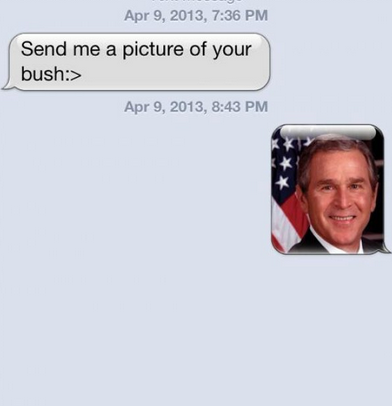 george w bush - , Send me a picture of your bush> ,