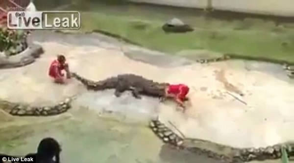 10 OMG Moments Caught on Camera By Tourists