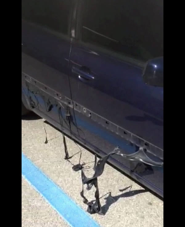 10 OMG Moments Caught on Camera By Tourists