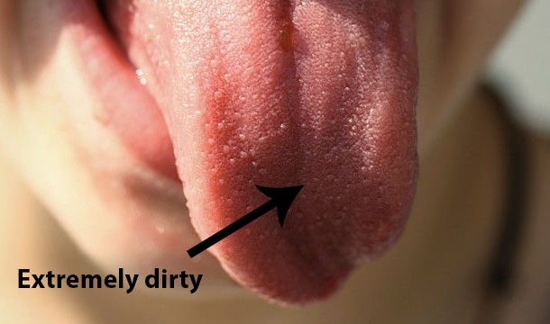 It is safe to lick a cut.
Your mouth is a dirty place filled with all kinds of bacteria. Licking your cut will only make it more likely to get infected.