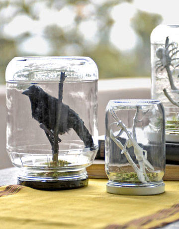 Want your house to feel like a haunted study? Make the ghost of Darwin proud by filling empty jars with spooky paraphernalia like fake spiders and crows. For an added effect, throw on some cobwebs around the jars to make it look like no one’s examined the specimens in a while.