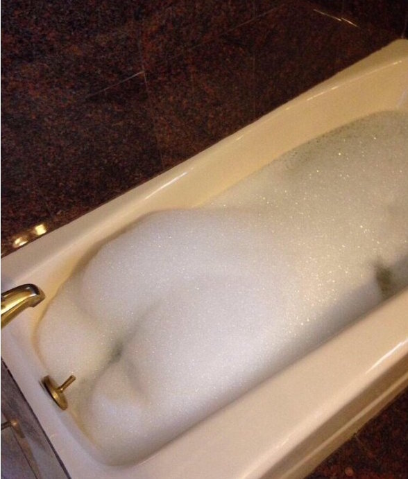 22 Nonsexual Images Guaranteed To Turn You On