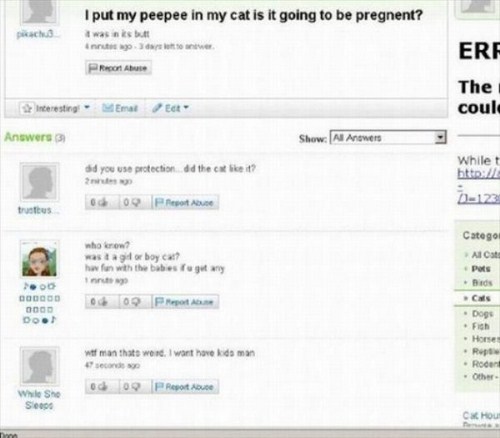 funny yahoo answers - I put my peepee in my cat is it going to be pregnent? ch Recon se Ere The could Interesting Emat Eat Answers 3 Show. Al Answers ad you use protection did the cake it? Whilet http 2123 od 09. Report Abuse tus who know? was tagad boy c