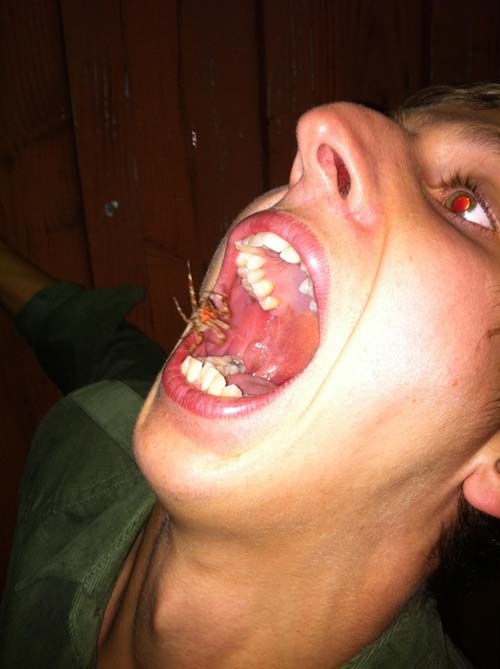 26 pictures full of nope