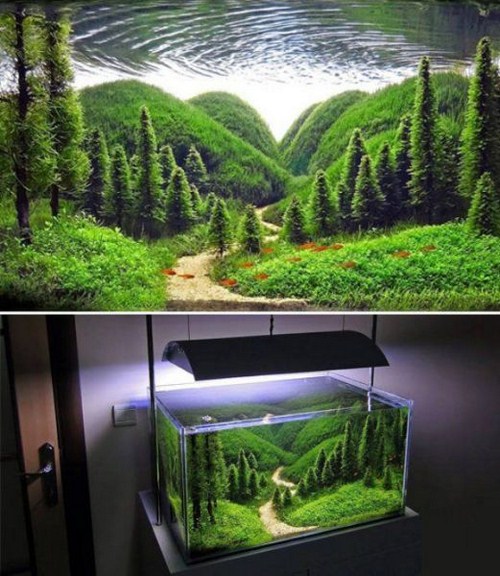 cool aquarium ideas