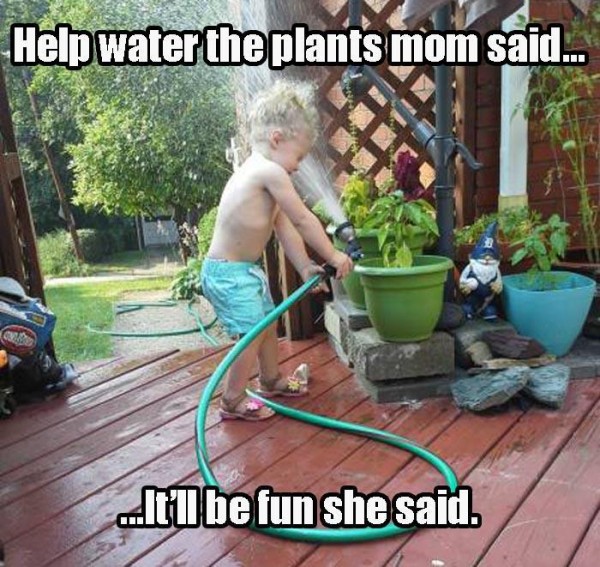 memes - funny watering plants meme - Help water the plants mom said... It'll be fun she said.