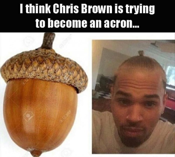 memes - museum of anthropology, raven and the first men sculpture - I think Chris Brown is trying to become an acron...