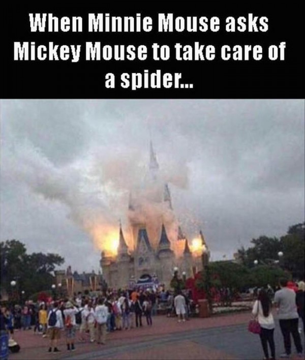 memes - mickey mouse gets the aux cord - When Minnie Mouse asks Mickey Mouse to take care of a spider...
