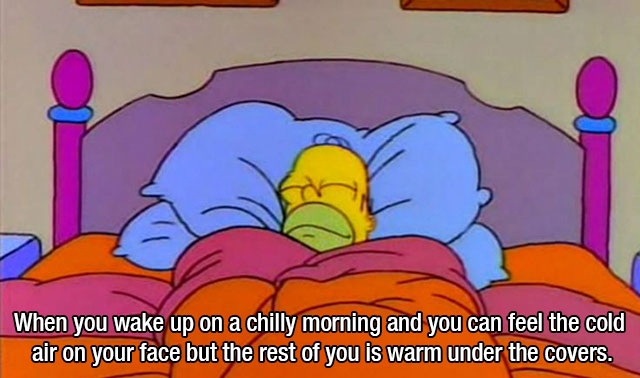 i m just a big toasty cinnamon bun - When you wake up on a chilly morning and you can feel the cold air on your face but the rest of you is warm under the covers.