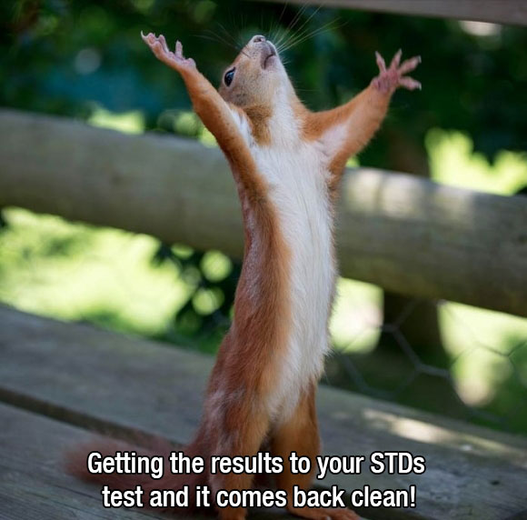 no further questions meme - Getting the results to your STDs test and it comes back clean!