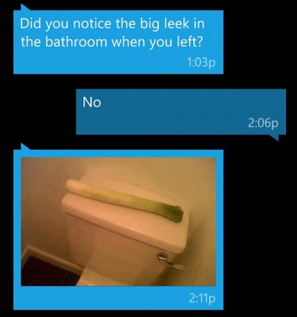 dad jokes - material - Did you notice the big leek in the bathroom when you left? p No p p
