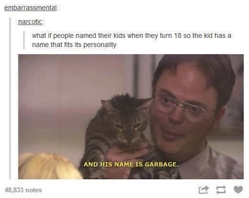 tumblr - funny kids - embarrassmental narcotic what if people named their kids when they turn 18 so the kid has a name that fits its personality And His Name Is Garbage. 48,833 notes
