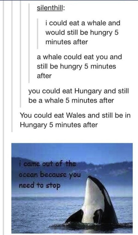 tumblr - wales tumblr post - silenthill i could eat a whale and would still be hungry 5 minutes after a whale could eat you and still be hungry 5 minutes after you could eat Hungary and still be a whale 5 minutes after You could eat Wales and still be in 
