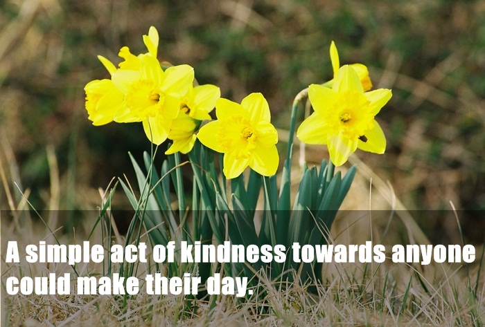 narcissus - A simple act of kindness towards anyone could make their day.