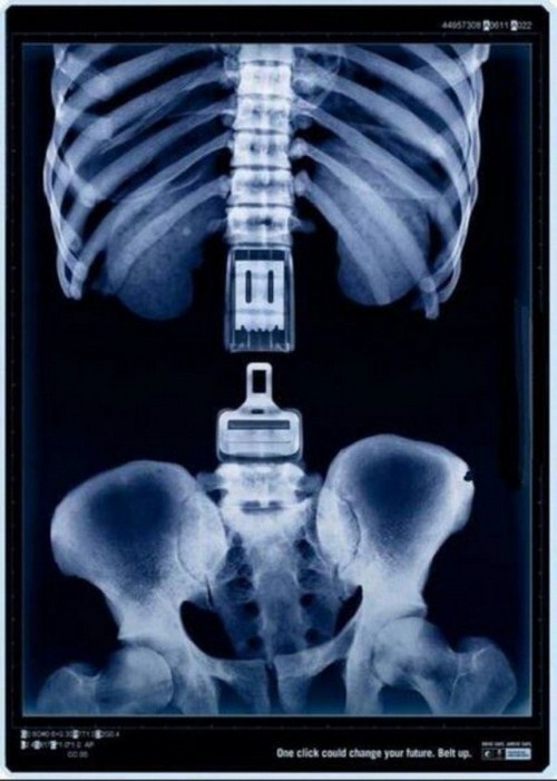 seat belt advertisement - One click could change your future. Bet up.