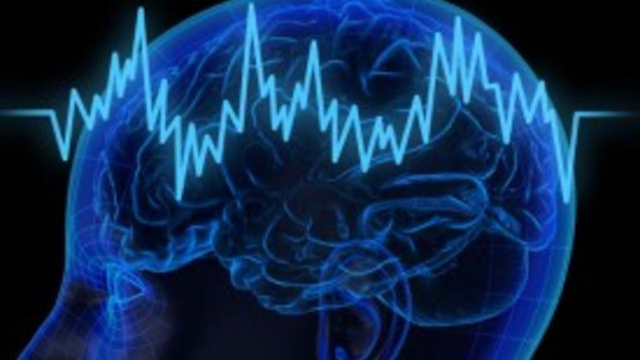 Neural oscillations, or brain waves, are created by the electrical signals in your brain. Certain waves correlate with certain activities. Scientists are aware of them, and can use them to measure stuff, but have absolutely no clue what purpose they serve. When you sleep however, your neural oscillations become oddly specific for each stage of sleep. Alpha activity, theta waves, delta waves... they all are emitted during very specific points in your sleep cycle. So much so, that scientists can pinpoint the exact part of sleep you're in -- just from the type of brain wave given off.