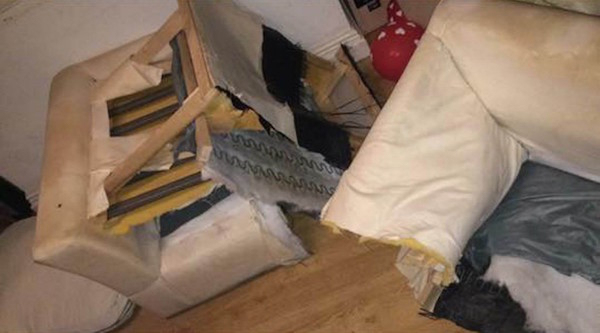 Joe has told pals that he pulled off the prank because the sofa was “a piece of s***” and that he felt compelled to step in." He added: “Look at it for f**** sake.”