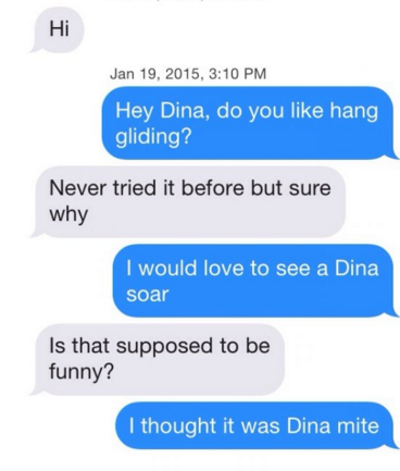 tinder pun number - , Hey Dina, do you hang gliding? Never tried it before but sure why I would love to see a Dina soar Is that supposed to be funny? I thought it was Dina mite