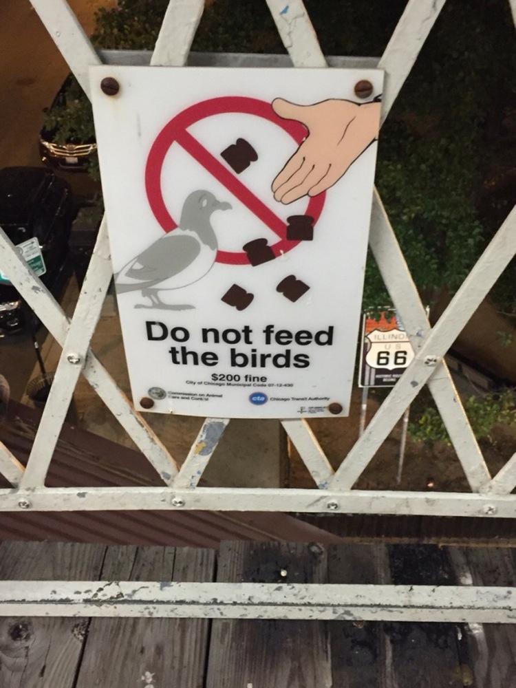 signage - Illino Do not feed the birds 66 $200 fine . of