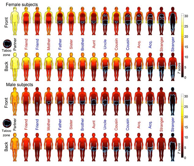 This Chart Shows Where People Want to Be Touched
