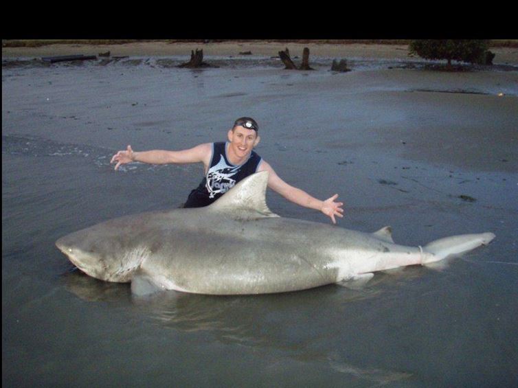 Sharks can be found in rivers too...