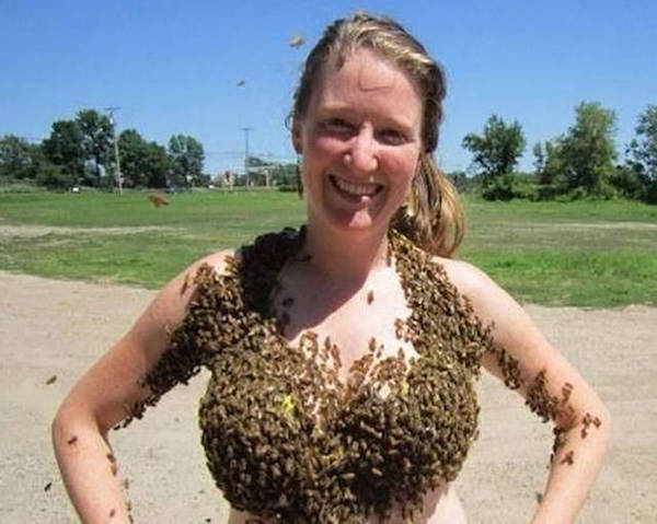 boob bees