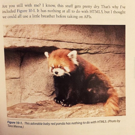 16 Textbooks That are Way Funnier Than They Should Be