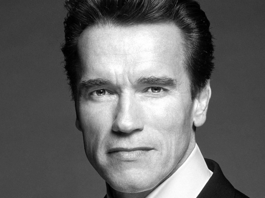 Actor and of course former governor of California for seven years, Arnold Schwarzenegger, was no stranger to criticism. In fact back in October 2009, “The Governator” made an unannounced stop at a San Fran Democratic Party Gala to say a few words. Just days prior to that stop, Schwarzenegger had threatened to veto all 700 bills Democratic lawmakers had proposed. So when Arnold showed up to the hornet’s nest he was anything but welcome.
Schwarzenegger was promptly booed and one heckler, assemblyman Tom Ammiano, famously told Arnold, “You lie!” and “Kiss my gay ass”.
Days later The Governator sent the following veto letter in response to Ammiano’s Assembly Bill 1176…