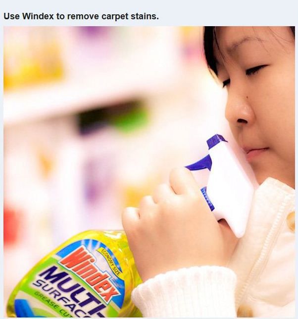 windex - Use Windex to remove carpet stains. Multi Itpy Economy Size Grease