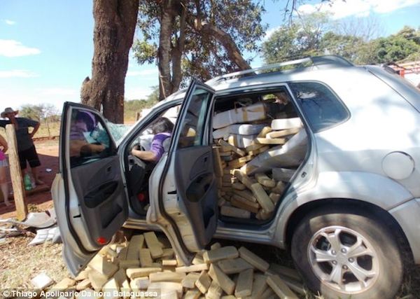 A Brazilian drug trafficker died in his car when he was crushed by half a ton of marijuana.

The driver was on the run from the Federal Highway Police, who had taken up the chase after he refused to stop at a road block in Bataguassu, 210 miles from Campo Grande. In an attempt to escape, the smuggler embarked on a three-mile chase that ended when he hit a tree, resulting in his stock of weed stored in the backseat shooting forward, squashing him against the wheel. He died instantly.